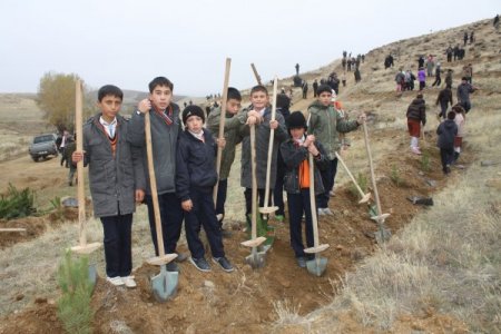 Elmadağ'da şenlik havasında fidan dikildi