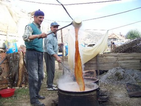 Elmalı'da Bağ Bozumundan Sonra Pekmez Yapma Telaşı Başladı