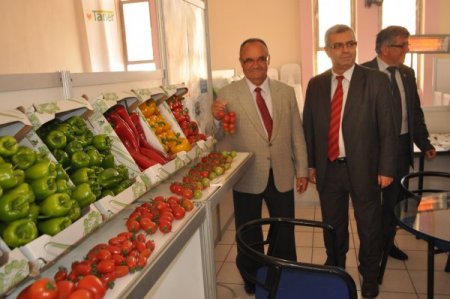 Elmalı'da Tarım Girdileri Sergisi açıldı