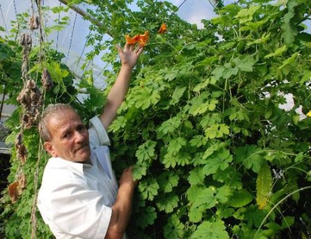 Emekli Oldu Kudret Narı Ve Papila Yetiştirmeye Başladı
