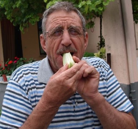 Emekli Ormancı Bahçesinde Pepino Yetiştiriyor