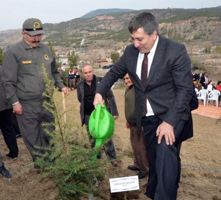 Emekliler Derneği Hatıra Ormanı açıldı