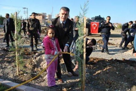 Emniyet bahçesine çam fidanı dikildi