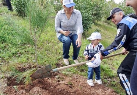 Emniyet mensupları fidan dikti