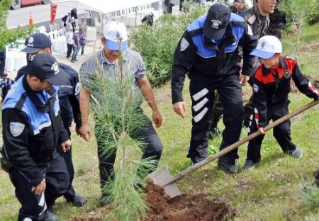 Emniyet mensupları fidan dikti