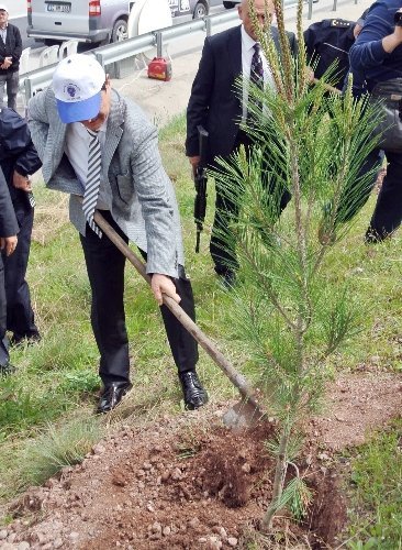 Emniyet mensupları fidan dikti