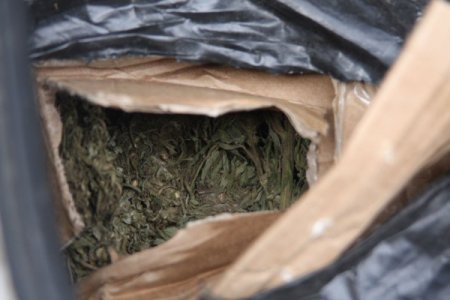 Emniyetin Başarılı Uyuşturucu Baskınları Devam Ediyor