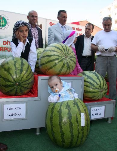 En Büyük Diyarbakır Karpuzu Üreticileri Ödüllendirildi