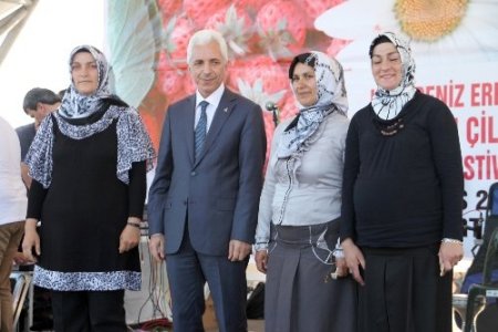 En güzel Osmanlı çilekleri yarıştı