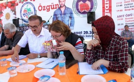 En güzel Osmanlı çilekleri yarıştı