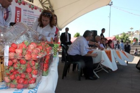En güzel Osmanlı çilekleri yarıştı