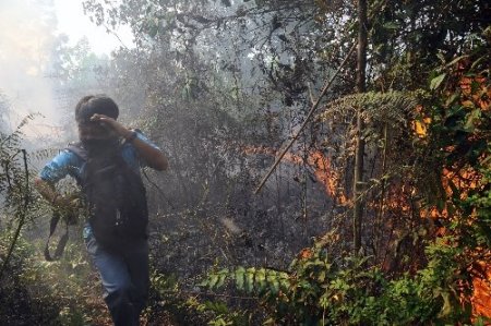Endonezya'da orman yangını hayatı olumsuz etkiliyor