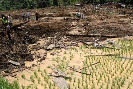 Endonezya’da toprak kayması: 11 ölü