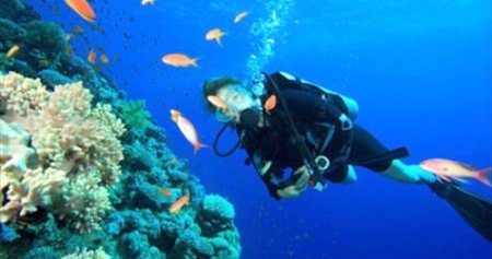 Endonezya'nın su altı dünyası Van'da sergilenecek