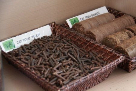 Enerji bitkileri atıklarından kömüre alternatif katı yakıt ürettiler