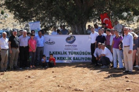 EnerjiSA 4 yılda 4 bin kekliği doğayla buluşturacak