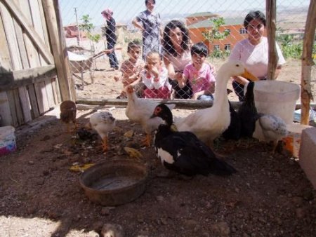 Engelli Çocuklar Atla Terapi Ediliyor