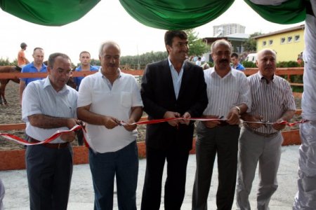 Engelli Çocuklar Atla Terapi Ediliyor