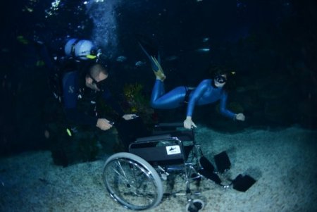 Engelli sporcular köpek balıklarına dokundu