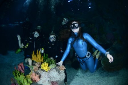 Engelli sporcular köpek balıklarına dokundu