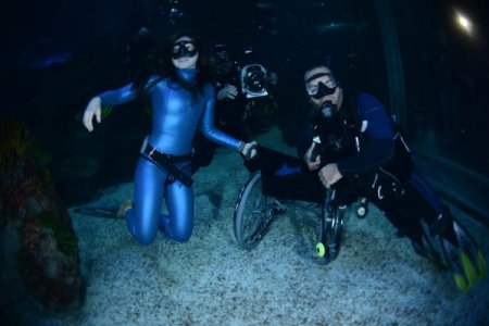 Engelli sporcular köpek balıklarına dokundu