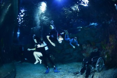 Engelli sporcular köpek balıklarına dokundu