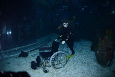 Engelli sporcular köpek balıklarına dokundu