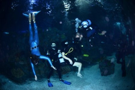 Engelli sporcular köpek balıklarına dokundu