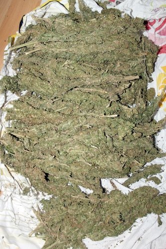 Engelli vatandaş, uyuşturucu taciri çıktı