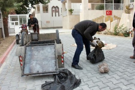 Engelli vatandaş, uyuşturucu taciri çıktı