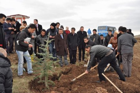 Engelliler, Yozgat’ta 3 bin fidanı toprakla buluşturdu
