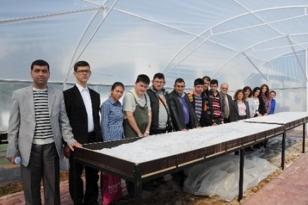 Engelliler bahçıvanlığı öğrenerek hayata tutunacak