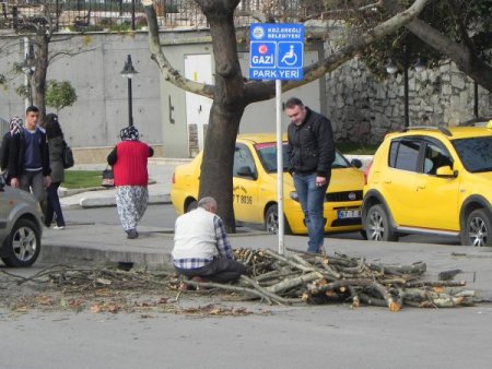 Engellilerin park alanları işgal ediliyor