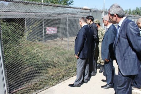 Erbaa'da 20 bin keklik ve sülün doğaya salındı, ölümlü kene vakası yaşanmadı