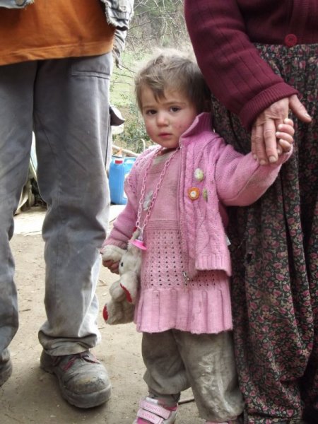 Erbaa'da 9 aydır ormanda yaşayan Kayabaşı ailesi, ısınmak için keçilerle yatıyor