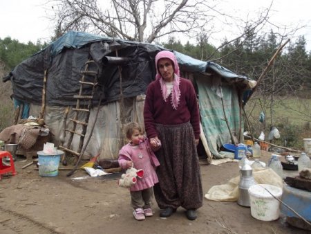 Erbaa'da 9 aydır ormanda yaşayan Kayabaşı ailesi, ısınmak için keçilerle yatıyor