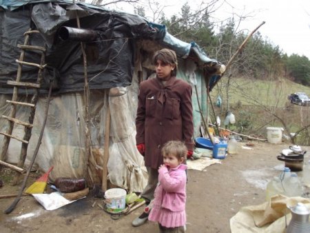 Erbaa'da 9 aydır ormanda yaşayan Kayabaşı ailesi, ısınmak için keçilerle yatıyor