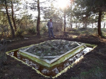 Erbaa'da ormanı kaplayan çam kese böceğine biyolojik çözüm