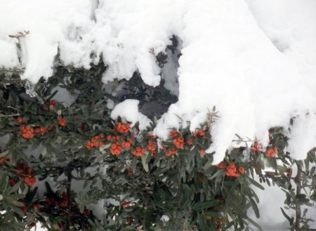 Erbaa'ya bağlı köy ve beldelerde eğitime yarın da ara verildi