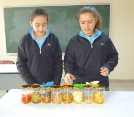 Erdemli Yıldırımhan Öğrencilerinin Proje Başarısı