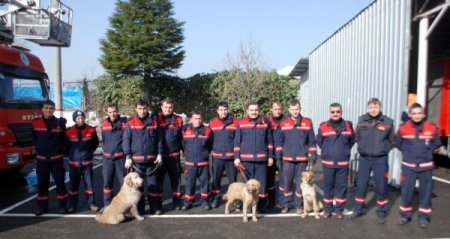 Ereğli Belediyesine 3 Kurtarma Köpeği Alındı