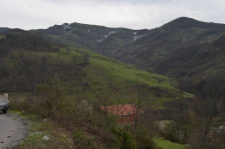Ereğli’de bal ormanları oluşturuluyor