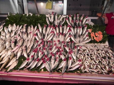 Ereğli'de balık fiyatları hayal kırıklığına neden oldu