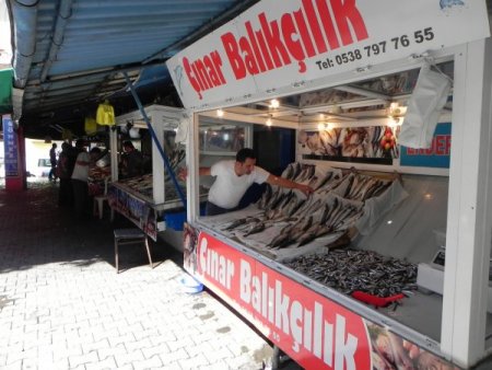 Ereğli'de balık fiyatları hayal kırıklığına neden oldu