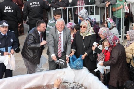 Ereğli'de hamsi izdihamı