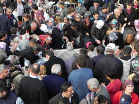 Ereğli'de hamsi izdihamı