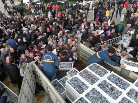 Ereğli'de hamsi izdihamı