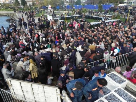 Ereğli'de hamsi izdihamı