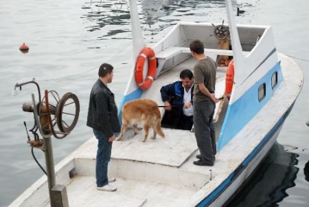 Ereğli'de Şafak Operasyonu: 5 Gözaltı