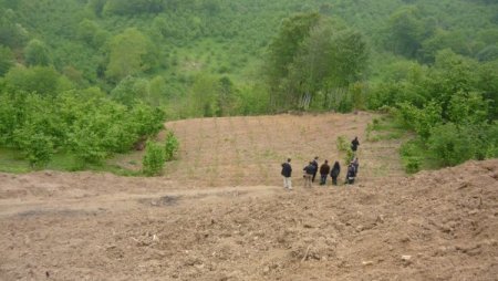 Ereğli'de Yaban Mersini Yetiştiriciliği Yaygınlaştırılacak
